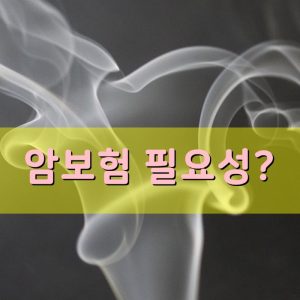 암보험 필요성