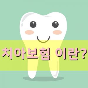 치아보험